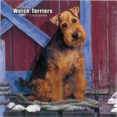 Dogs Welsh Terrier 2006 Calendar