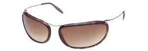 Dolce & Gabbana 491S sunglasses