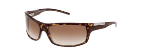 Dolce & Gabbana 802S Sunglasses