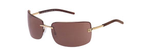 Dolce & Gabbana 821S Sunglasses