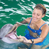 Dolphin Encounter Ocean World Dolphin Encounter