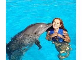 Dolphin Swim at Six Flags Amusement Park -