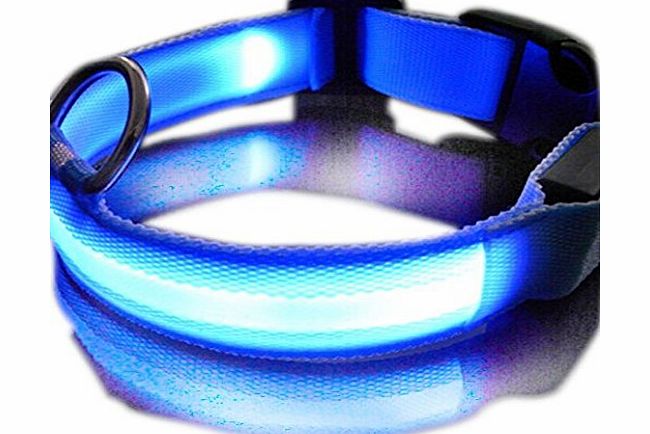 New LED Dog Night Safety Collar (Size:L) Blue