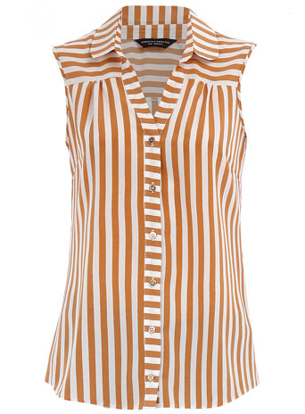 Dorothy Perkins Camel stripe blouse DP05238554