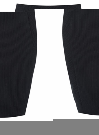 Navy stripe suit pencil skirt