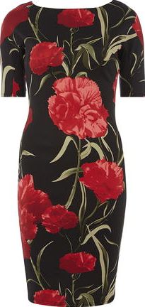 Dorothy Perkins, 1134[^]262015000711207 Womens AX Paris Black rose 3/4 sleeve dress-