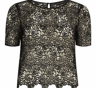 Dorothy Perkins Womens Black Cornelli Lace Top- Black DP05478681