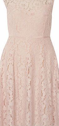 Dorothy Perkins Womens Blush lace midi dress- Blush DP07270815