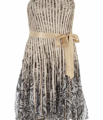 Womens Chase 7 Beige Floral Ribbon Dress- White