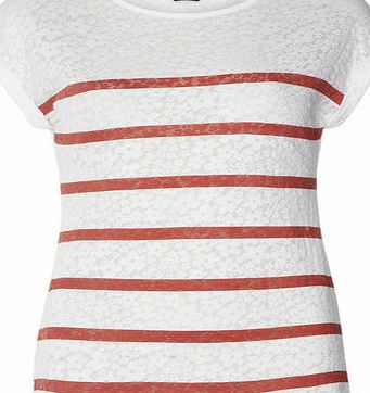 Dorothy Perkins Womens Coral Stripe Burnout Tee- Ivory DP56416345