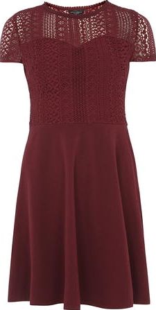 Dorothy Perkins, 1134[^]262015000712267 Womens Cranberry Lace Top Dress- Red DP56454026