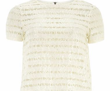 Dorothy Perkins Womens Ivory Stripe Lace Tee- White DP05473102