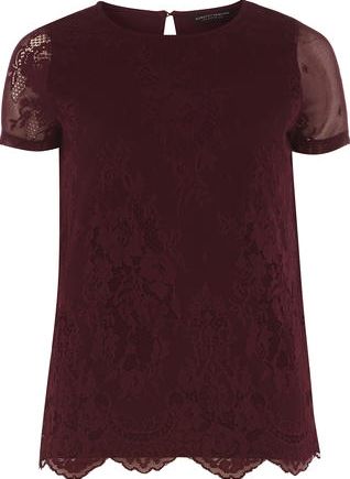 Dorothy Perkins, 1134[^]262015000705935 Womens Mulberry Contrast Lace Top- Red DP05594513