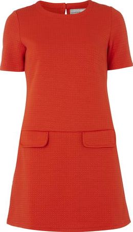 Dorothy Perkins, 1134[^]262015000707651 Womens Petite orange shift dress- Orange