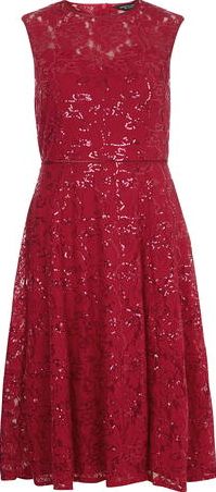 Dorothy Perkins, 1134[^]262015000711110 Womens raspberry lace midi dress- Pink DP07401912