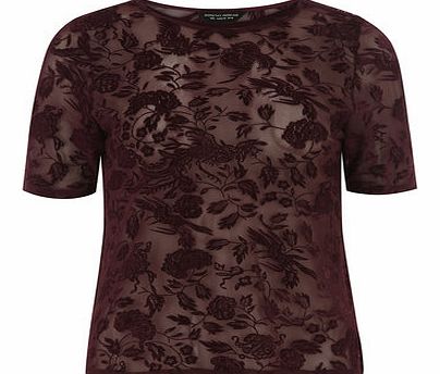 Dorothy Perkins Womens Wine Flocked Mesh Tee- Wine DP05468820