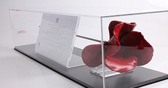 Dream Keepers Landscape Full Stem Tower Poppy Display Case with Black Base, Stylish Acrylic Cradles and Certificate Holder