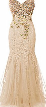 Dresstells Long Lace Mermaid Prom Dress with Appliques Wedding Dress Evening Party Wear Champagne Size 10