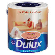 Dulux Matt Tuscan Terracotta 2.5L