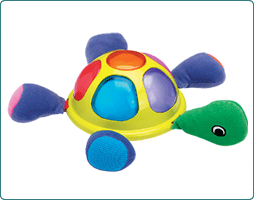 Early Years LIGHT AND SOUND TORTOISE