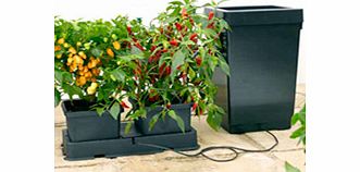 Easy 2 Grow Irrigation Kit plus FREE SEEDS!