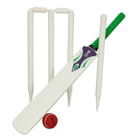 ECB Wooden Cricket Set.