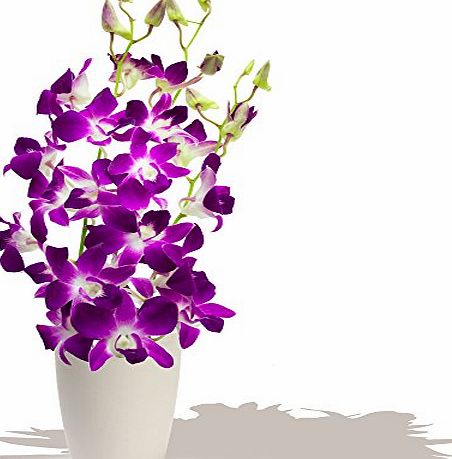Eden4flowers BRUNEI DENDROBIUM ORCHIDS BOUQUET - Birthday Flowers Thank You and Anniversary Bouquets by Eden4flowers