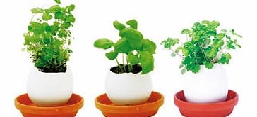 Eggling Collection