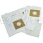 Electrolux Paper Bags and Filter Pack
