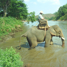 Elephant Adventure, Hilltribe and Mae Kok River