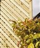 elite Privacy Trellis: (2x) 0.6m