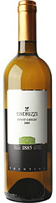 Endrizzi 2006 Pinot Grigio, Endrizzi, Trentino, Italy