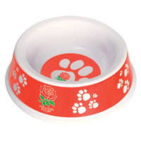 england Rugby Dog Bowl.