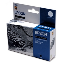 Epson Inkjet Cartridge Photo Black for Photo