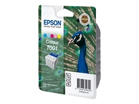 EPSON T001