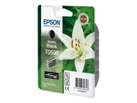 EPSON T0598