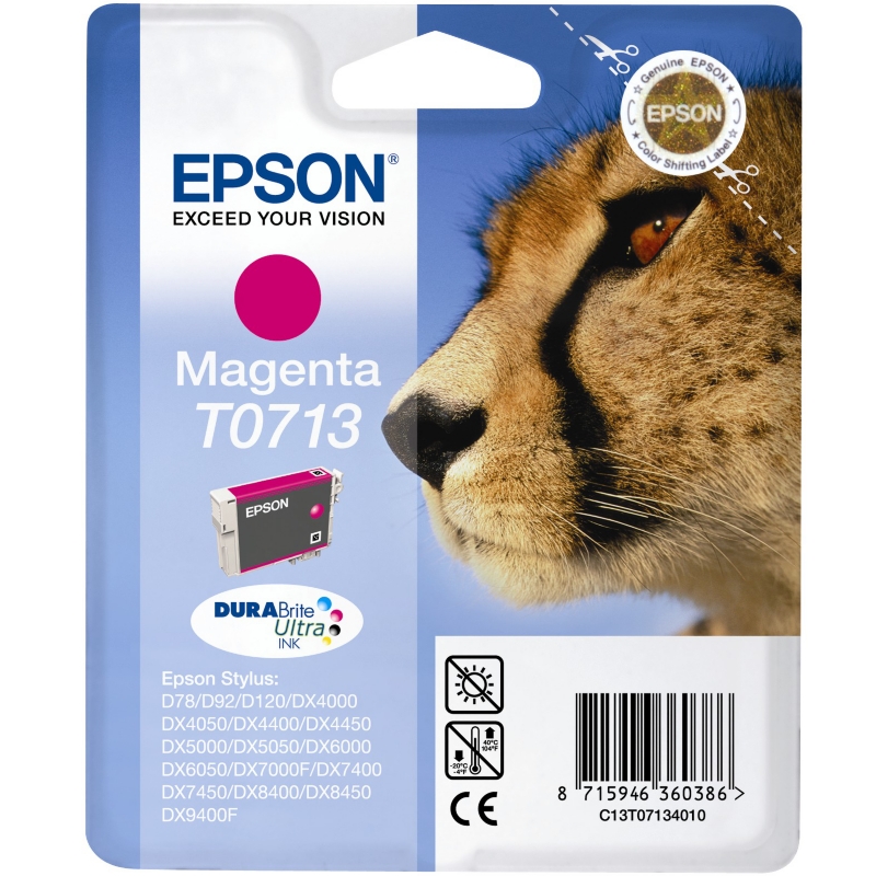 Epson T0713