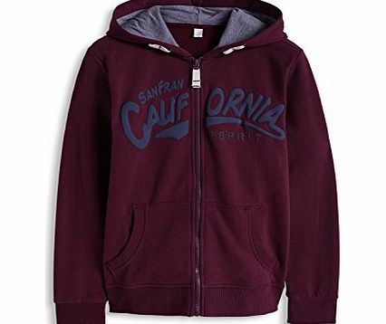 Boys 094EE6J001 Aus Baumwolle Hoodie, Red (Grape Jelly), 14 Years (Manufacturer Size:Large)