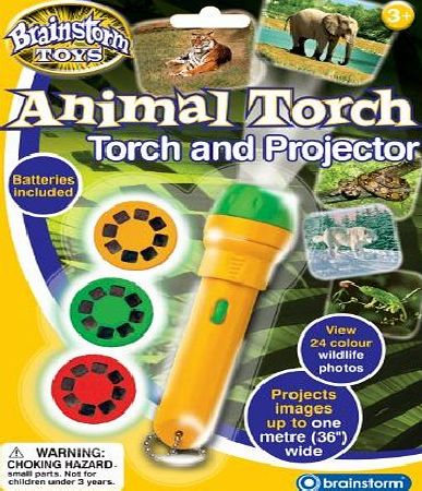 Eureka Toys Brainstorm Toys Animal Torch and Projector