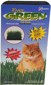 Cat Grass 85gm