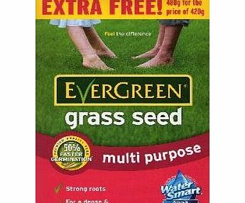 Evergreen  Grass Seed ,Multi-Purpose Lawns