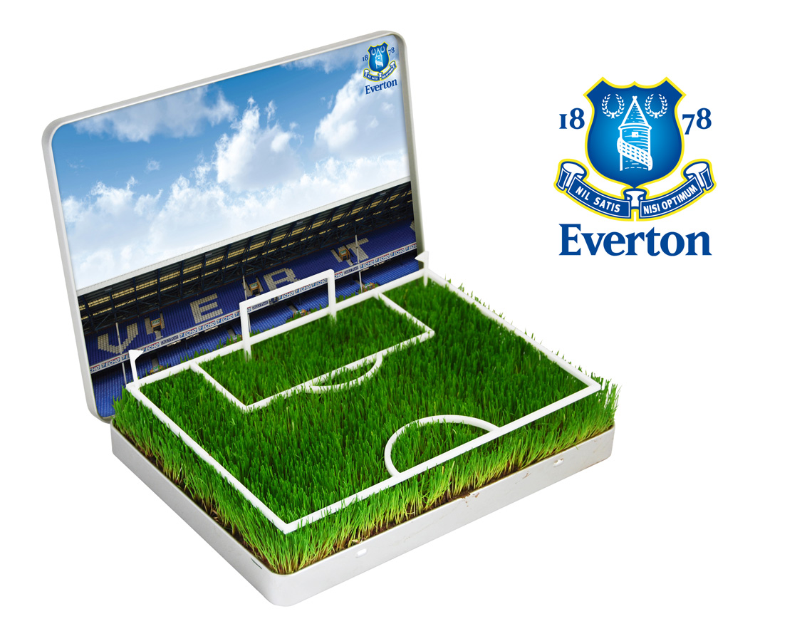 Everton  Grow Your Own Everton Goodison Park Pitch