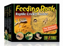 Terra Feeding Rock Reptile Cricket Feeder