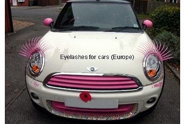 Pink Eyelashes for cars