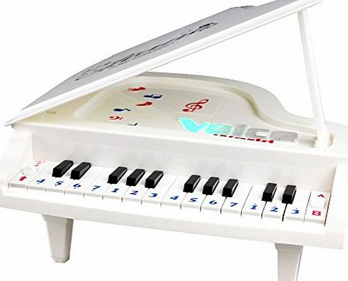 Fajiabao Best Birthday Gift Electronic 14 Keys Little Educational Piano Music Keyboard Game Toy Set with Light and Song for Children Boys Girls Kids Musical Early Learning