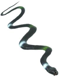 Fake PVC Snake 54cm