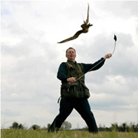 Falconry Encounter Day Falconry Day - Colchester, Essex