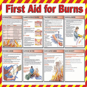 Poster First Aid for Burns Plastic