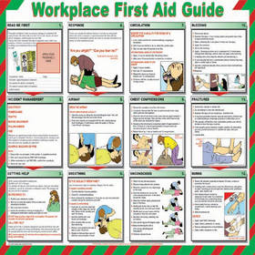 Poster First Aid Guide Plastic