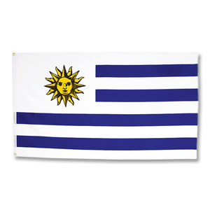 FB Uruguay Large Flag